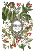 Load image into Gallery viewer, 2025 Holiday Winter Clementine IOD Transfer 8x12 Pad™