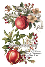 Load image into Gallery viewer, 2025 Holiday Winter Clementine IOD Transfer 8x12 Pad™