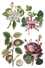 Load image into Gallery viewer, 2025 Holiday Winter Clementine IOD Transfer 8x12 Pad™