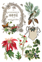 Load image into Gallery viewer, 2025 Holiday Winter Botanist IOD Transfer 8x12 Pad™