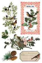 Load image into Gallery viewer, 2025 Holiday Winter Botanist IOD Transfer 8x12 Pad™