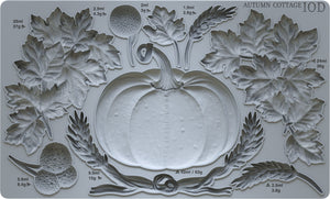 Autumn Cottage Pumpkin IOD Mould - Holiday 2024