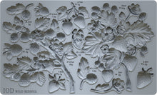 Load image into Gallery viewer, NEW Wild Berries 6x10 IOD Mould™
