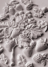 Load image into Gallery viewer, NEW Wild Berries 6x10 IOD Mould™

