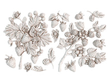 Load image into Gallery viewer, NEW Wild Berries 6x10 IOD Mould™
