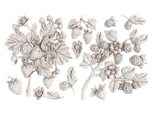 NEW Wild Berries 6x10 IOD Mould™