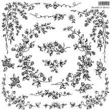 Load image into Gallery viewer, NEW Brambles &amp; Berries 12x12 IOD Stamp™
