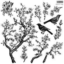 Load image into Gallery viewer, NEW Shade &amp; Song 12x12 IOD Stamp™
