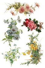 Load image into Gallery viewer, NEW Catharina IOD Transfer 8x12 Pad™
