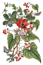 Load image into Gallery viewer, 2025 Holiday Winter Clementine IOD Transfer 8x12 Pad™
