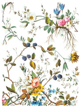 Load image into Gallery viewer, NEW Lost Garden IOD Transfer 12x16 Pad™
