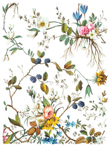 NEW Lost Garden IOD Transfer 12x16 Pad™