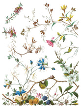 Load image into Gallery viewer, NEW Lost Garden IOD Transfer 12x16 Pad™
