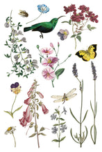 Load image into Gallery viewer, NEW Wilde Bloemen IOD Transfer 8x12 Pad™
