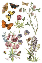Load image into Gallery viewer, NEW Wilde Bloemen IOD Transfer 8x12 Pad™
