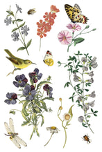 Load image into Gallery viewer, NEW Wilde Bloemen IOD Transfer 8x12 Pad™
