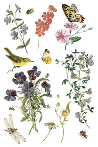 NEW Wilde Bloemen IOD Transfer 8x12 Pad™