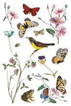 Load image into Gallery viewer, NEW Wilde Bloemen IOD Transfer 8x12 Pad™
