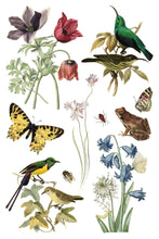 Load image into Gallery viewer, NEW Wilde Bloemen IOD Transfer 8x12 Pad™
