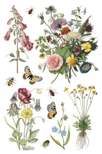 Load image into Gallery viewer, NEW Wilde Bloemen IOD Transfer 8x12 Pad™
