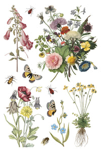 NEW Wilde Bloemen IOD Transfer 8x12 Pad™