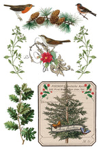 Load image into Gallery viewer, 2025 Holiday Winter Botanist IOD Transfer 8x12 Pad™
