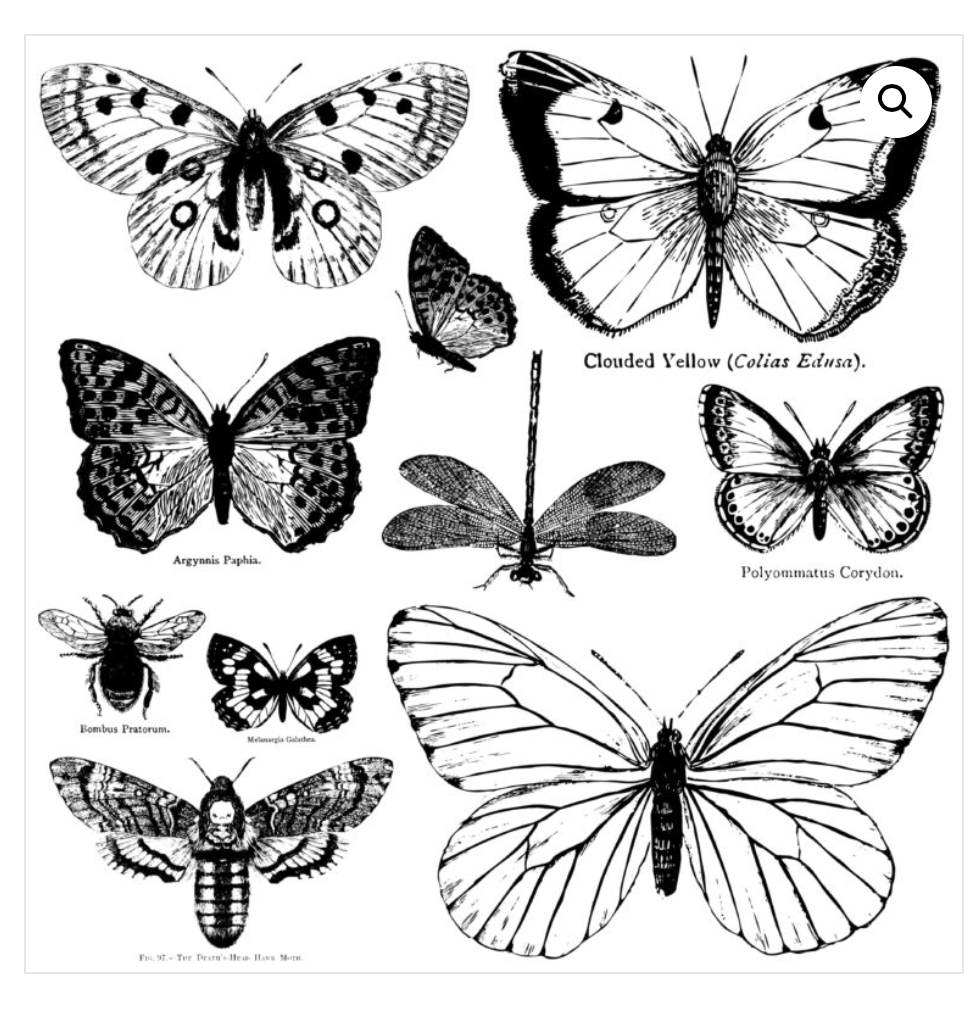 Butterflies IOD™ Stamp Iron Orchid Designs