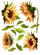 Load image into Gallery viewer, Painterly Florals Transfer

