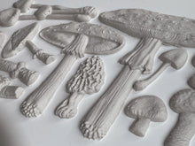 Load image into Gallery viewer, Toadstool Mould

