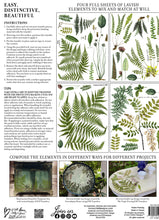 Load image into Gallery viewer, Fronds Botanical Transfer
