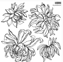 Load image into Gallery viewer, Chrysanthemum IOD™ Stamp - Iron Orchid Design
