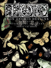 Load image into Gallery viewer, Entomology Etc IOD™ Transfer Iron Orchid Design
